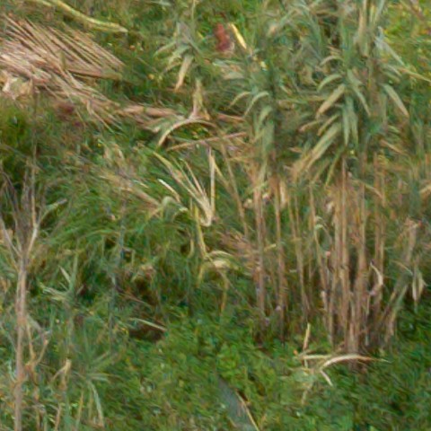 Benalmadena t 1l 10 11