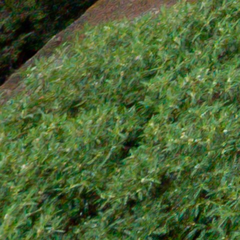 Benalmadena t 1l 11 01