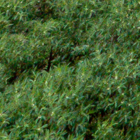 Benalmadena t 1l 11 02