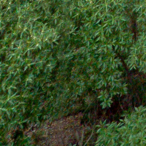 Benalmadena t 1l 11 03