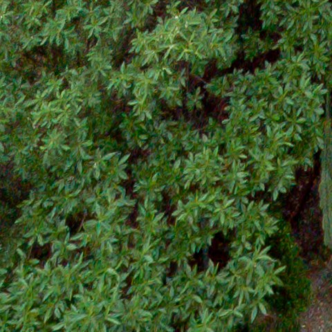 Benalmadena t 1l 11 04