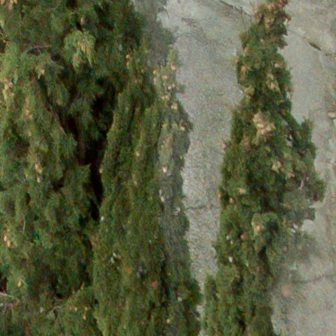 Benalmadena t 1l 11 08