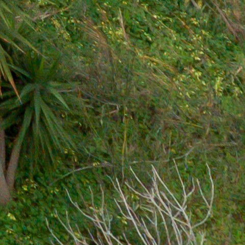 Benalmadena t 1l 11 10