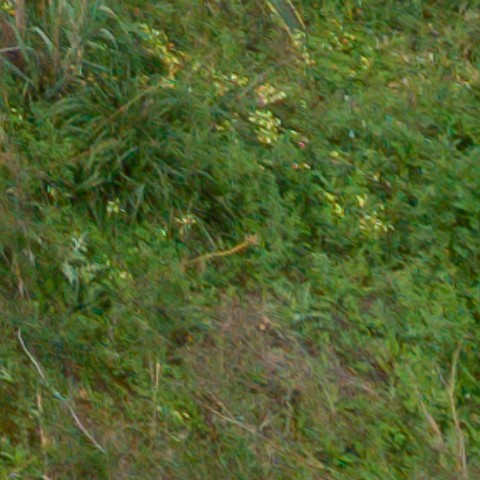 Benalmadena t 1l 11 11