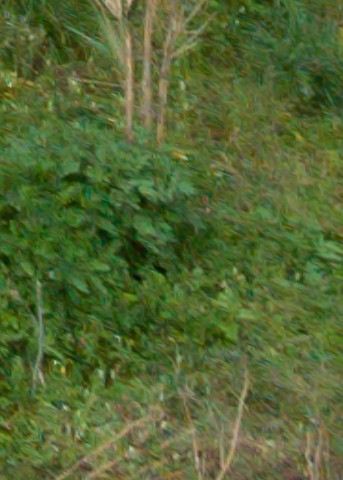 Benalmadena t 1l 11 12