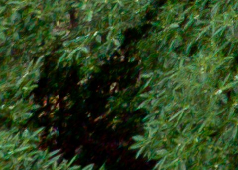 Benalmadena t 1l 12 01