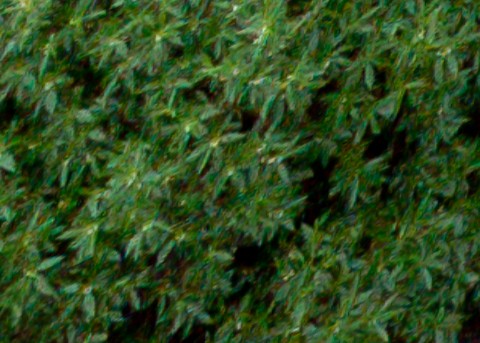 Benalmadena t 1l 12 02