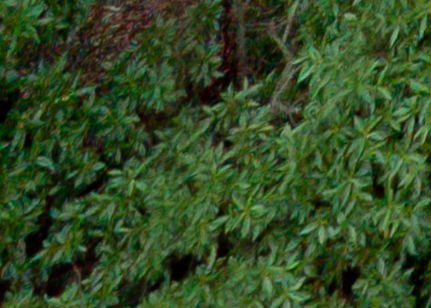 Benalmadena t 1l 12 03