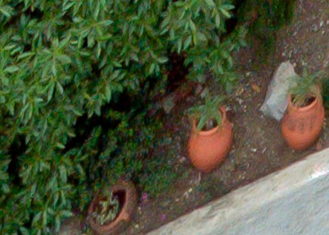 Benalmadena t 1l 12 04