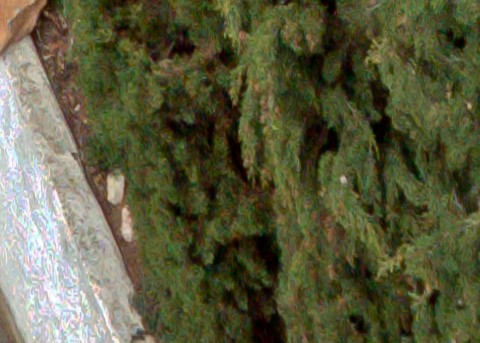 Benalmadena t 1l 12 07