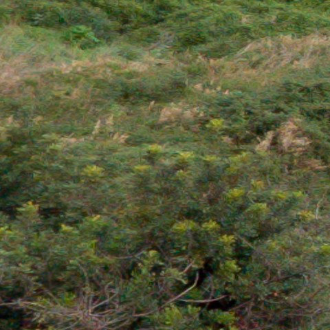 Benalmadena t 1r 07 01