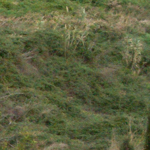 Benalmadena t 1r 07 02