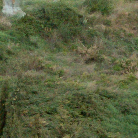 Benalmadena t 1r 07 03