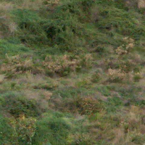 Benalmadena t 1r 07 04