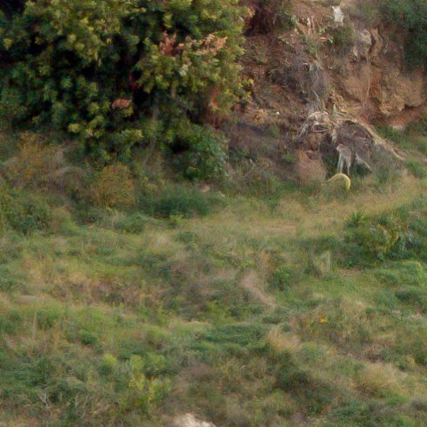 Benalmadena t 1r 07 06