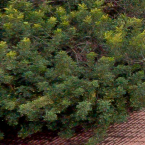 Benalmadena t 1r 08 01