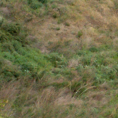 Benalmadena t 1r 08 05