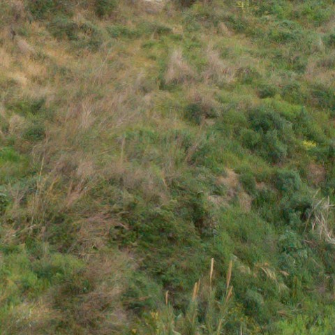 Benalmadena t 1r 08 06