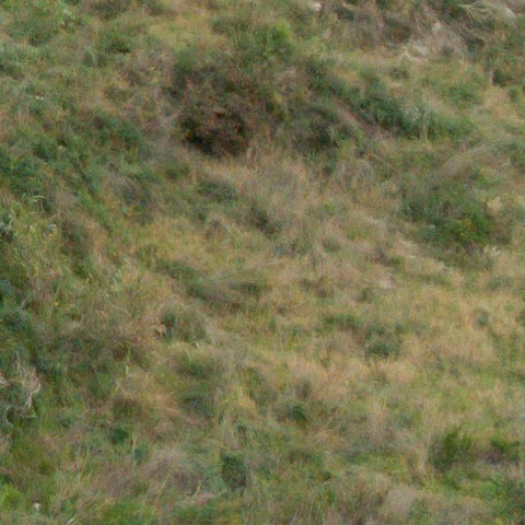 Benalmadena t 1r 08 07