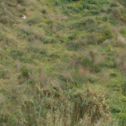 Benalmadena t 1r 08 08