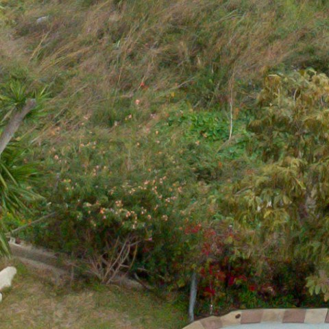 Benalmadena t 1r 09 05