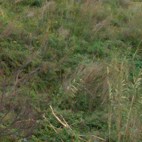 Benalmadena t 1r 09 07