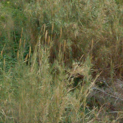 Benalmadena t 1r 09 08