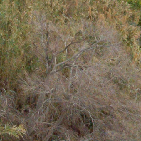 Benalmadena t 1r 09 09