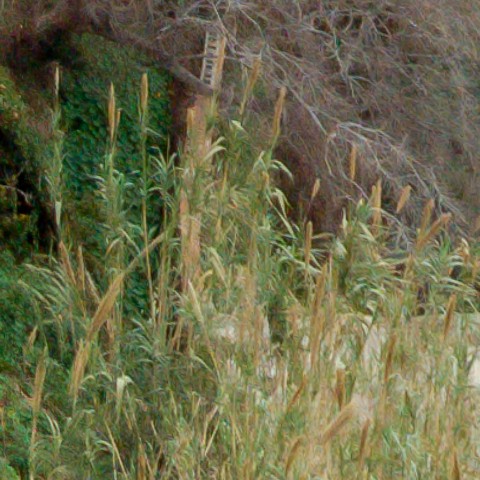 Benalmadena t 1r 10 09