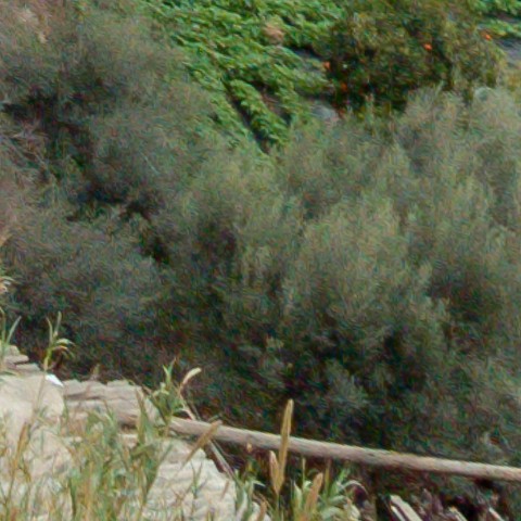 Benalmadena t 1r 10 10