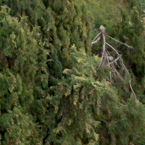 Benalmadena t 1r 11 08