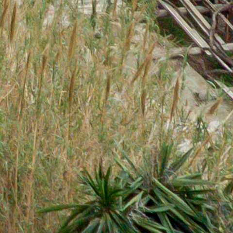 Benalmadena t 1r 11 10