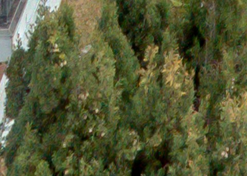 Benalmadena t 1r 12 04