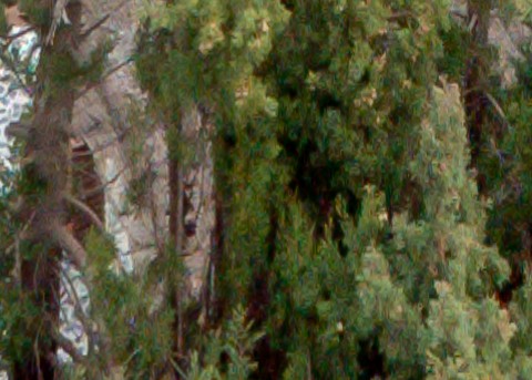 Benalmadena t 1r 12 06