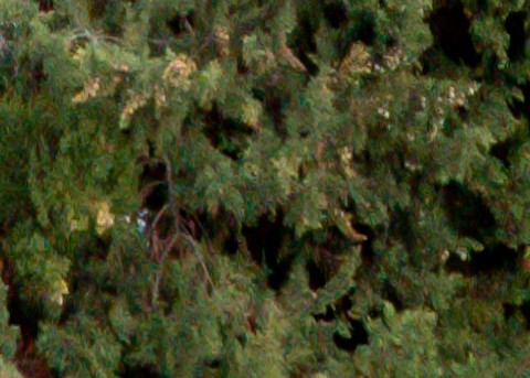 Benalmadena t 1r 12 07