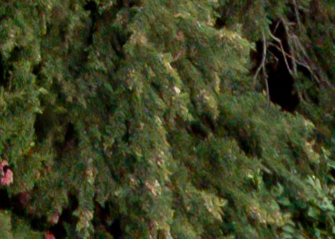 Benalmadena t 1r 12 08