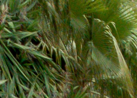 Benalmadena t 1r 12 11