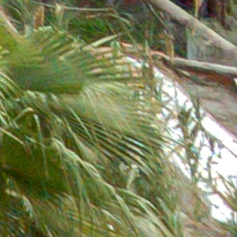 Benalmadena t 1r 12 12