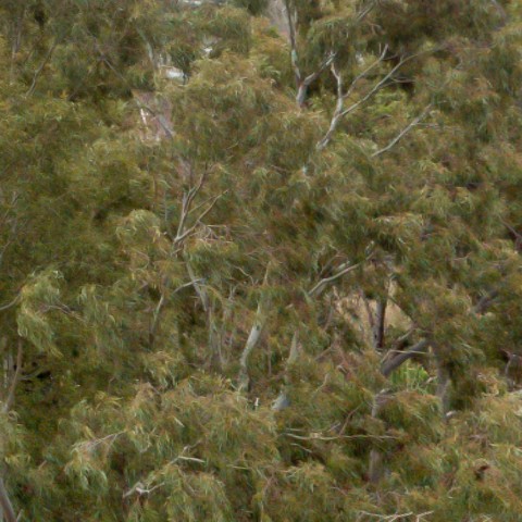 Benalmadena t 2b 04 05