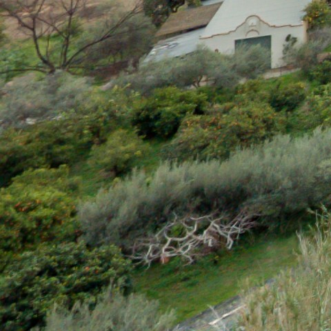 Benalmadena t 2b 05 01