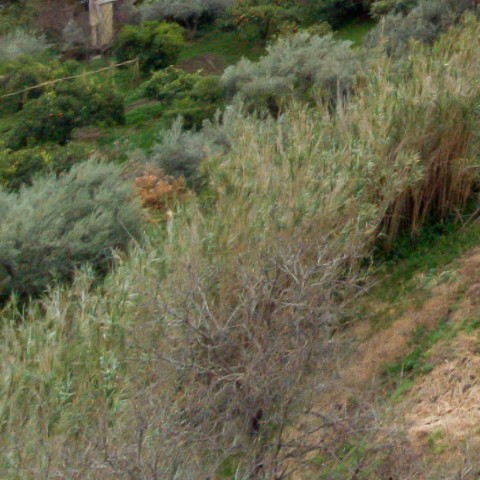 Benalmadena t 2b 05 02