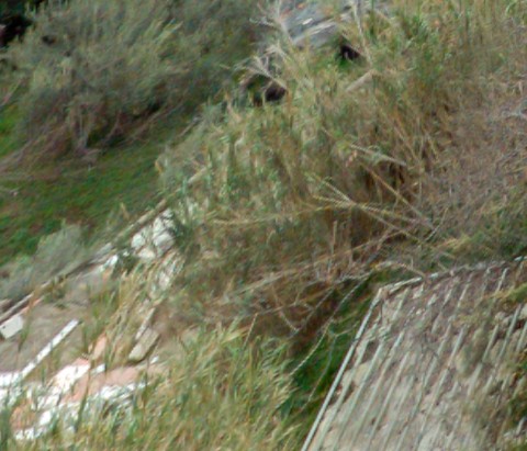 Benalmadena t 2b 06 01