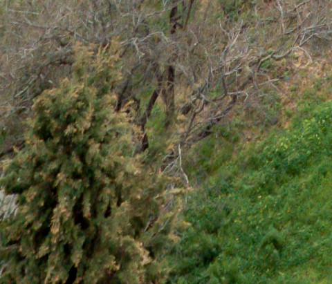 Benalmadena t 2b 06 02