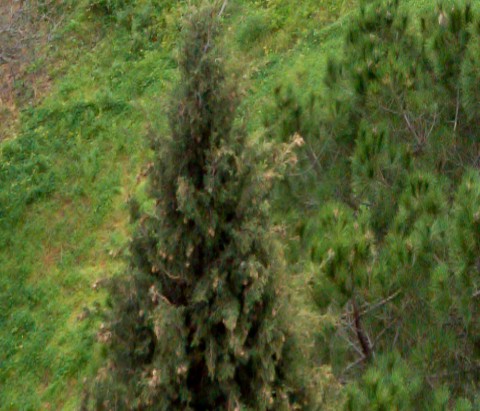 Benalmadena t 2b 06 03