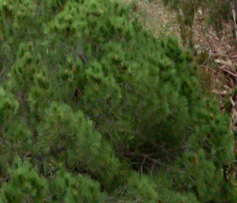 Benalmadena t 2b 06 04