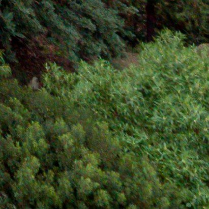 Benalmadena t 2b 06 06