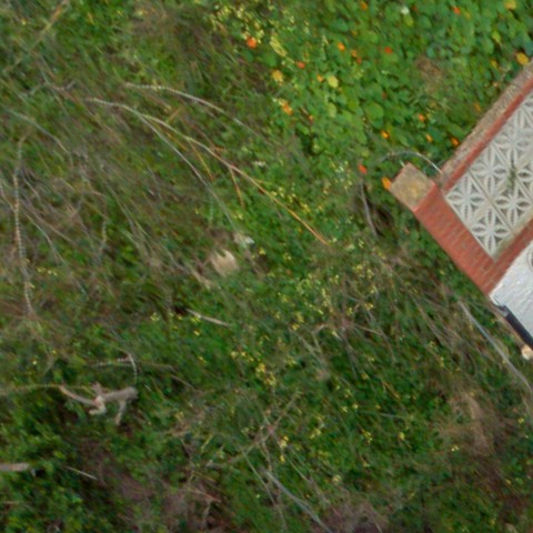 Benalmadena t 2d 01 01