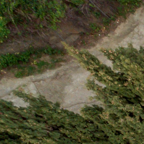 Benalmadena t 2d 02 01