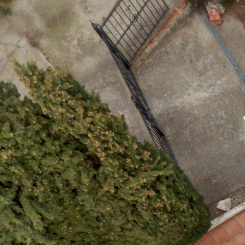 Benalmadena t 2d 02 02