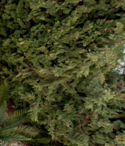 Benalmadena t 2d 03 06